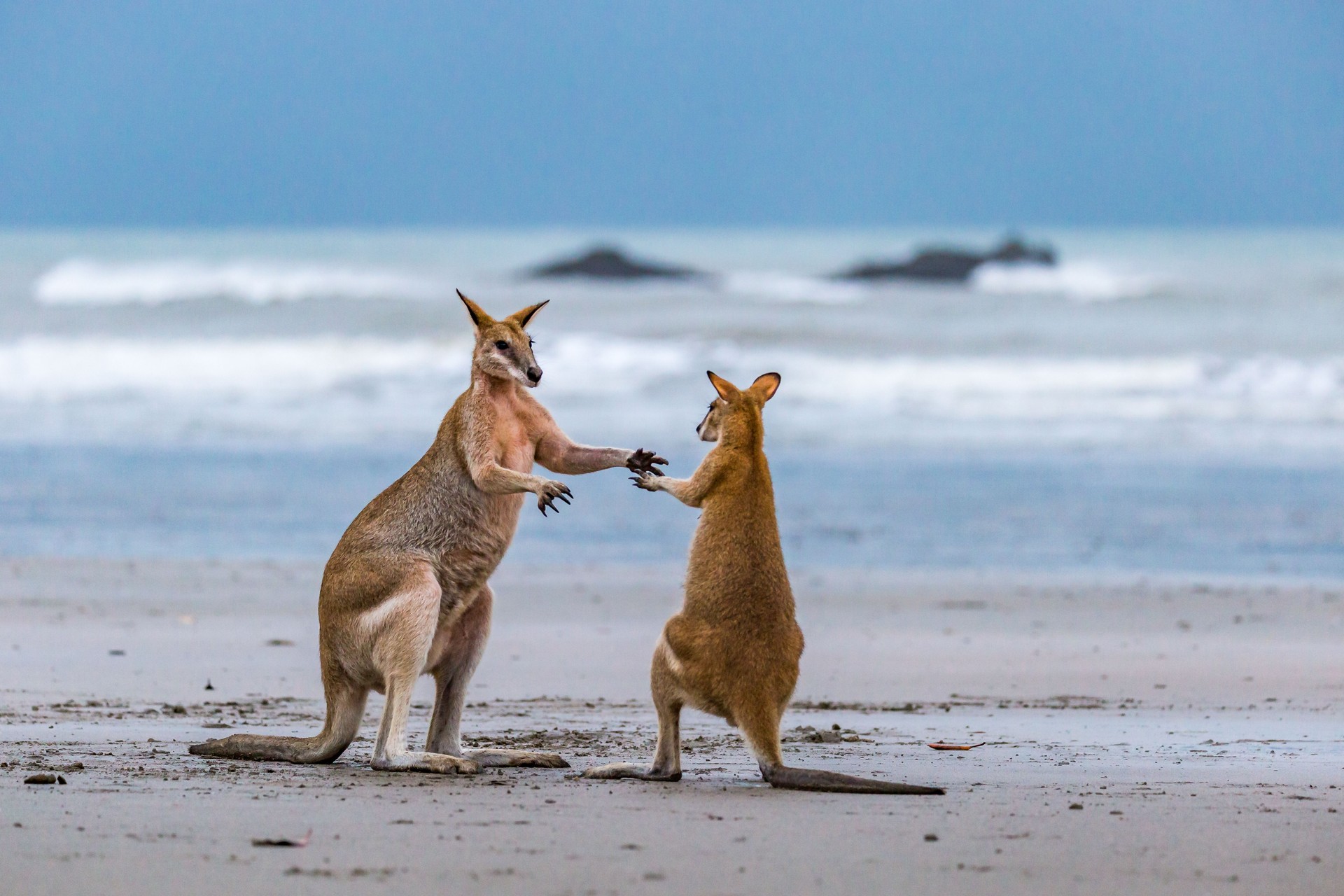 Autralia Partner Visa Autralia Partner Visa